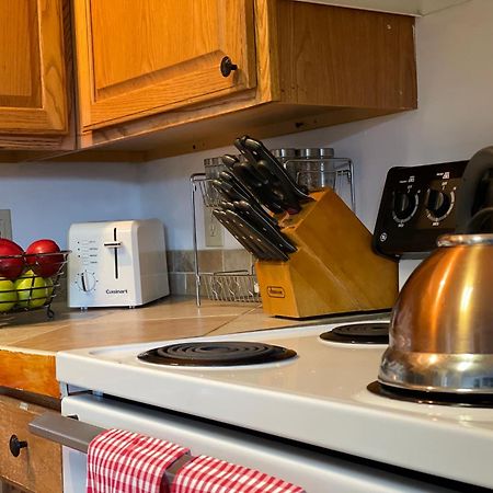 Heavenly View - Bear Themed Cabin, Hottub, Dog-Friendly, Near แกตลิงเบิร์ก ภายนอก รูปภาพ