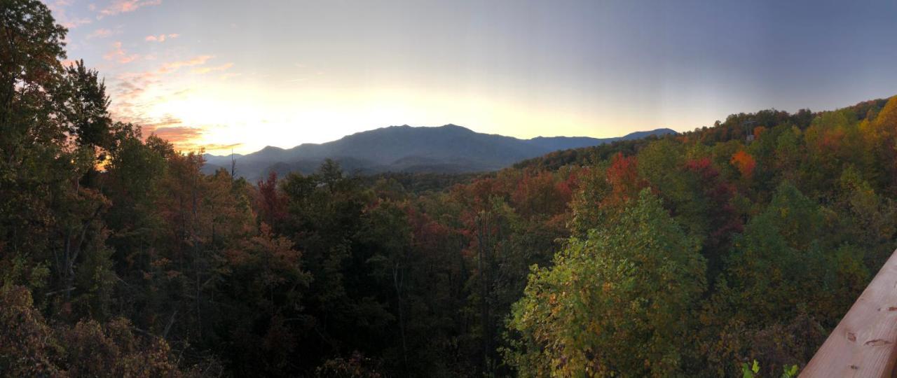 Heavenly View - Bear Themed Cabin, Hottub, Dog-Friendly, Near แกตลิงเบิร์ก ภายนอก รูปภาพ
