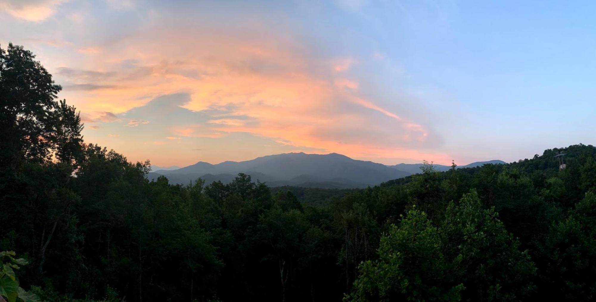 Heavenly View - Bear Themed Cabin, Hottub, Dog-Friendly, Near แกตลิงเบิร์ก ภายนอก รูปภาพ