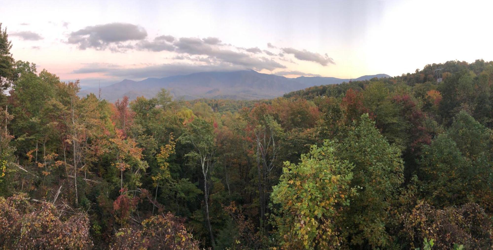 Heavenly View - Bear Themed Cabin, Hottub, Dog-Friendly, Near แกตลิงเบิร์ก ภายนอก รูปภาพ